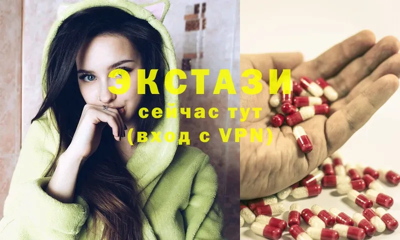 где можно купить   Киреевск  Экстази Philipp Plein 